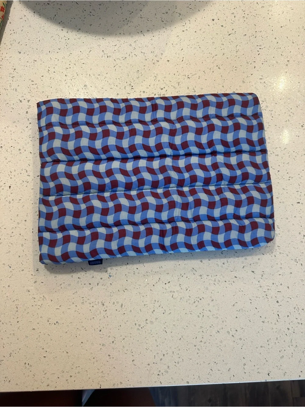 BAGGU padded sleeve